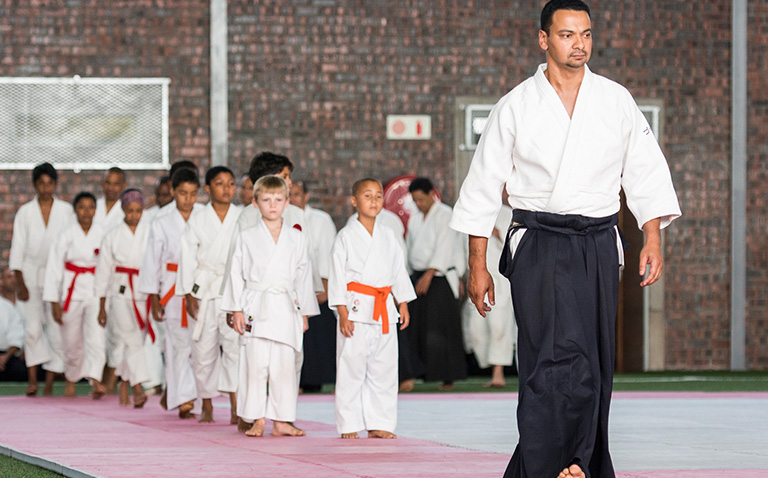 南非合气道 image