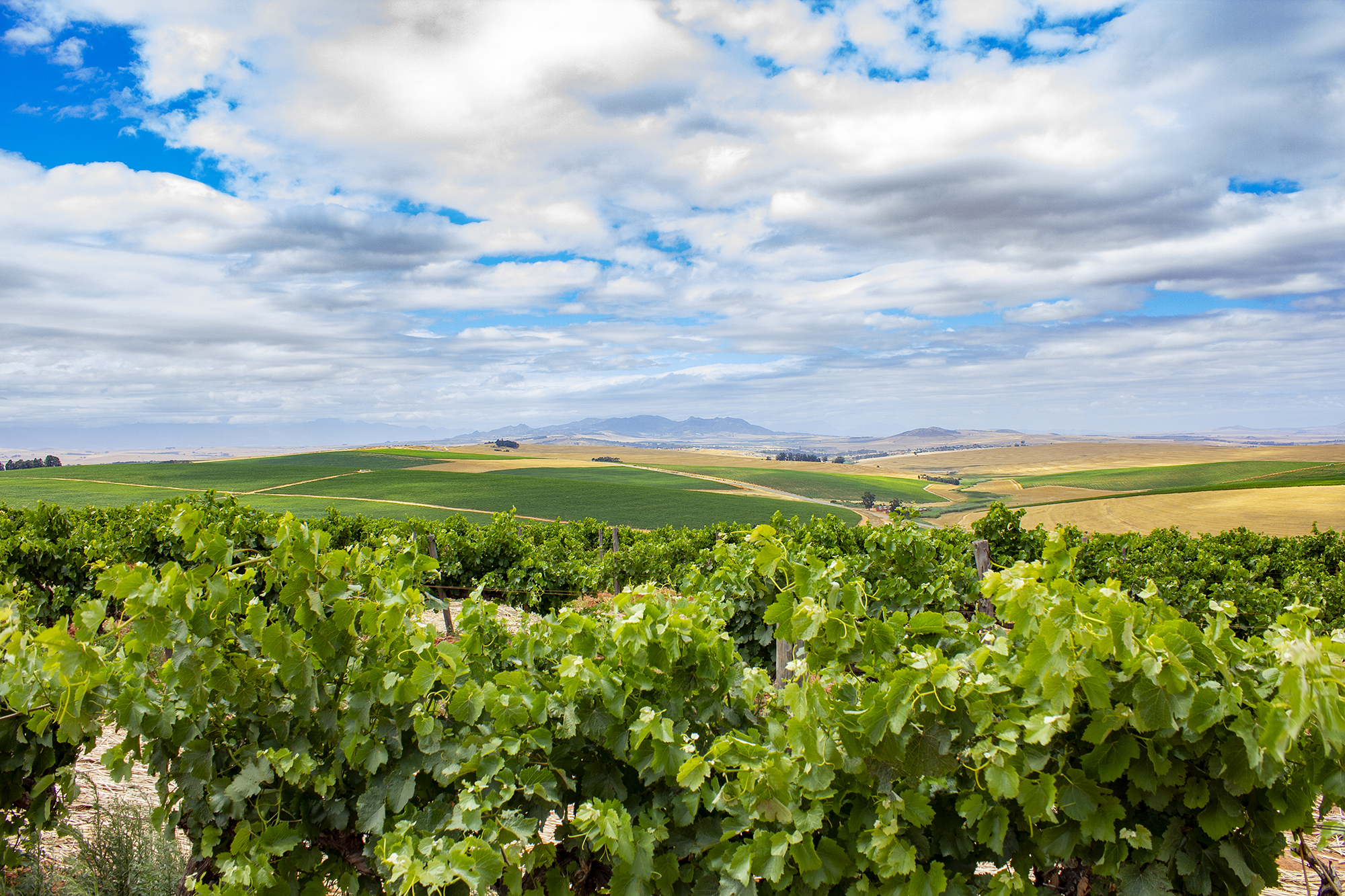 环境可持续性发展 image