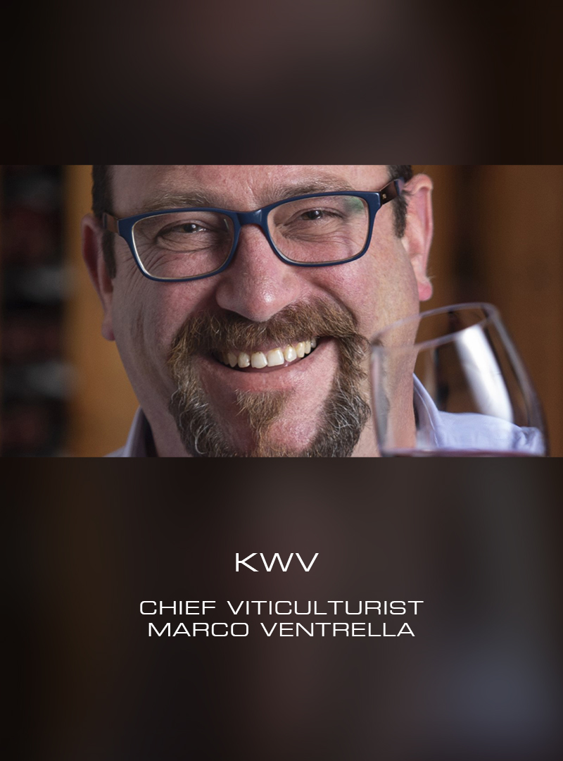 KWV凯樽汇2022年度报告