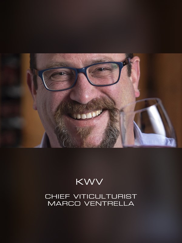 KWV凯樽汇2022年度报告